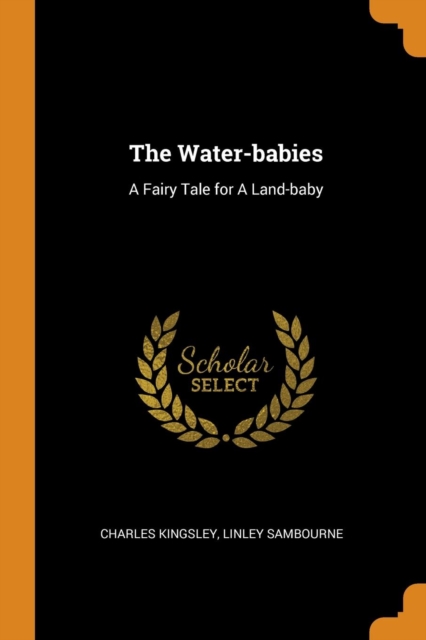 The Water-Babies : A Fairy Tale for a Land-Baby, Paperback / softback Book