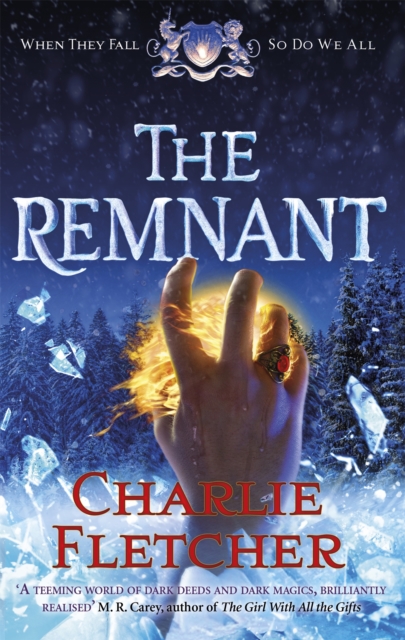 The Remnant, Paperback / softback Book