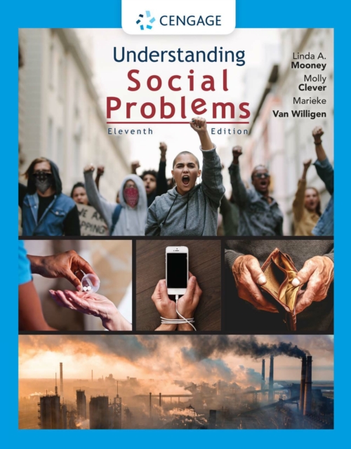 Understanding Social Problems, PDF eBook