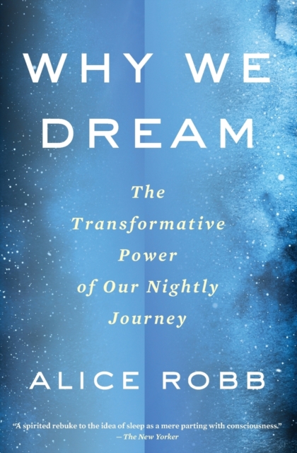 Why We Dream : The Transformative Power of Our Nightly Journey, Paperback Book