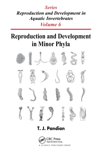 Reproduction and Development in Minor Phyla, Paperback / softback Book