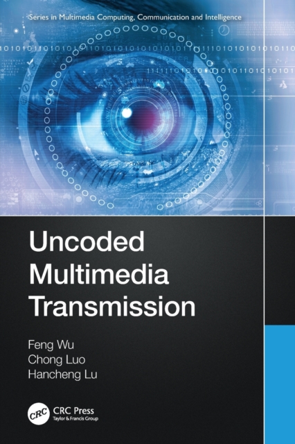Uncoded Multimedia Transmission, Paperback / softback Book