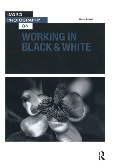 Working in Black & White, Hardback Book