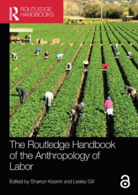 The Routledge Handbook of the Anthropology of Labor, Paperback / softback Book
