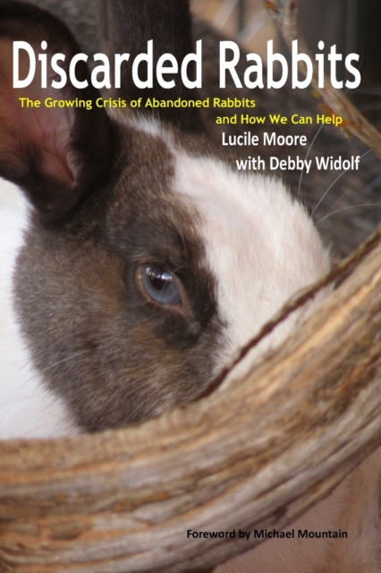 Discarded Rabbits : The Growing Crisis of Abandoned Rabbits and How We Can Help, Paperback / softback Book