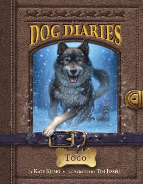 Dog Diaries #4: Togo, Paperback / softback Book