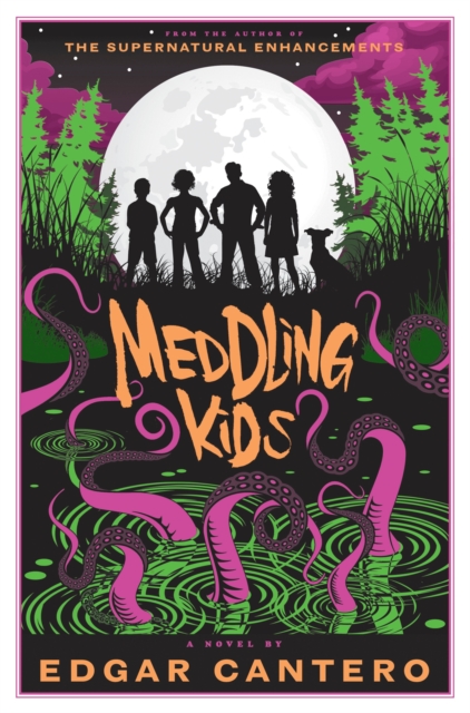 Meddling Kids : A Novel, Hardback Book