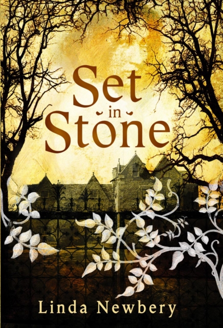 Set in Stone, Hardback Book