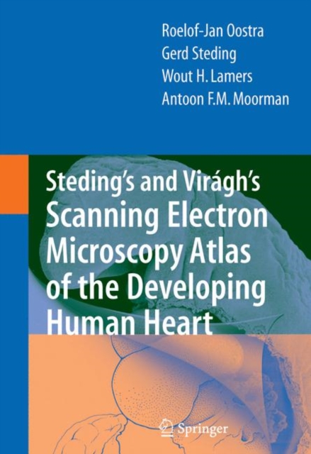 Steding's and Viragh's Scanning Electron Microscopy Atlas of the Developing Human Heart, Hardback Book