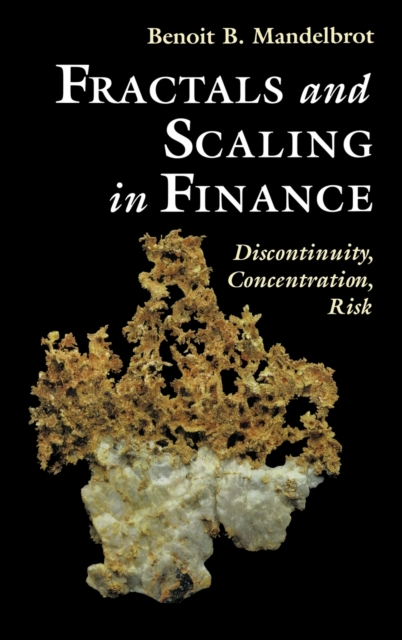 Fractals and Scaling in Finance : Discontinuity, Concentration, Risk. Selecta Volume E, Hardback Book