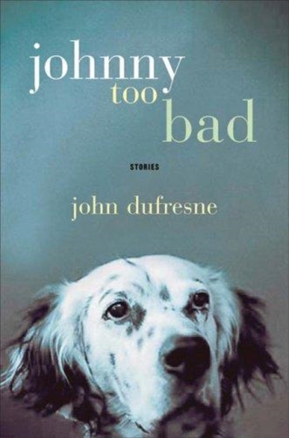 Jonny Too Bad : Stories, Hardback Book