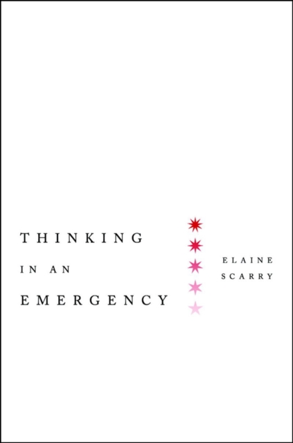 Thinking in an Emergency, Hardback Book