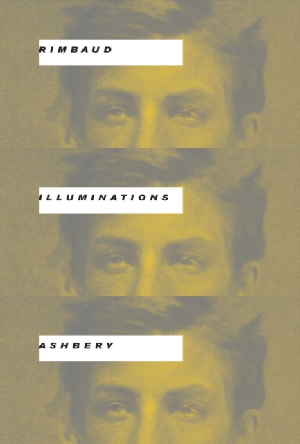 Illuminations, Hardback Book