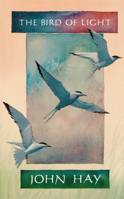 The Bird of Light, Paperback / softback Book