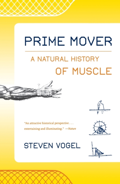 Prime Mover : A Natural History of Muscle, Paperback / softback Book