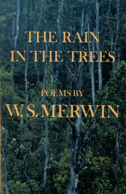 The Rain in the Trees, Paperback / softback Book