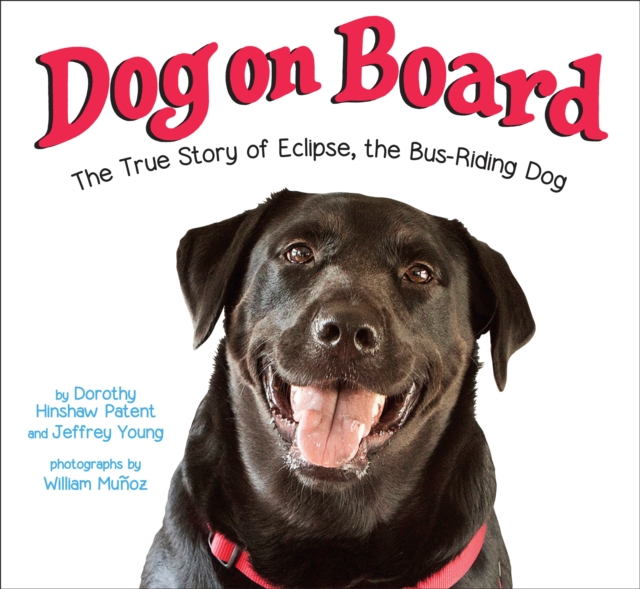 Dog On Board, Hardback Book