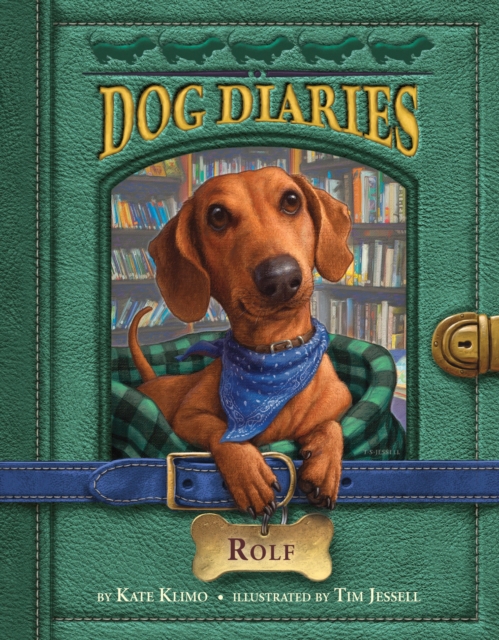 Dog Diaries #10: Rolf, Paperback / softback Book