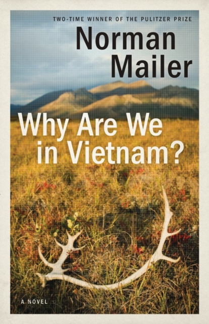 Why Are We in Vietnam?, EPUB eBook