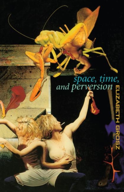 Space, Time and Perversion : Essays on the Politics of Bodies, Paperback / softback Book