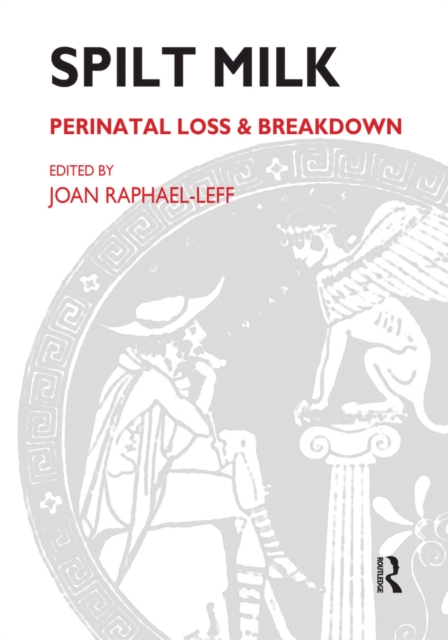 Spilt Milk : Perinatal Loss and Breakdown, PDF eBook