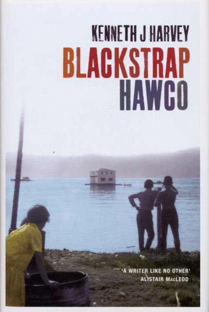Blackstrap Hawco, Hardback Book