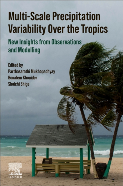 Multi-Scale Precipitation Variability Over the Tropics : New Insights from Observations and Modelling, Paperback / softback Book