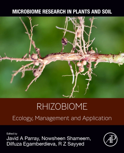Rhizobiome : Ecology, Management and Application, Paperback / softback Book
