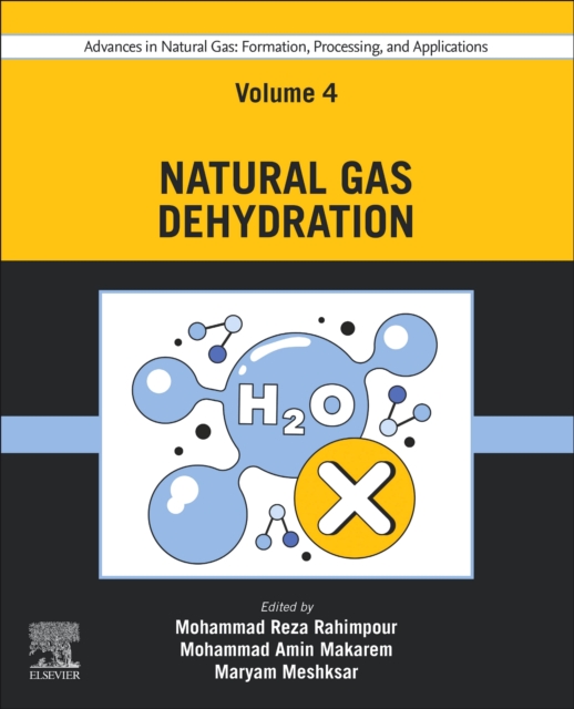 Advances in Natural Gas: Formation, Processing, and Applications. Volume 4: Natural Gas Dehydration, Paperback / softback Book