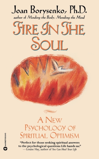 Fire In The Soul, Paperback / softback Book