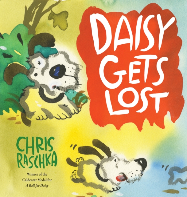 Daisy Gets Lost, Hardback Book