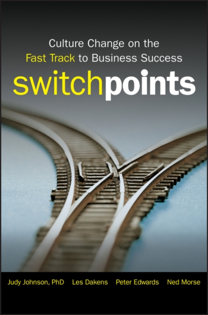 SwitchPoints : Culture Change on the Fast Track to Business Success, PDF eBook