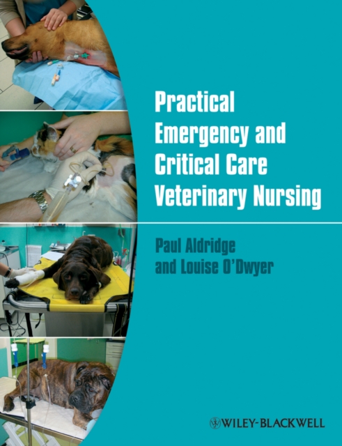 Practical Emergency and Critical Care Veterinary Nursing, Paperback / softback Book