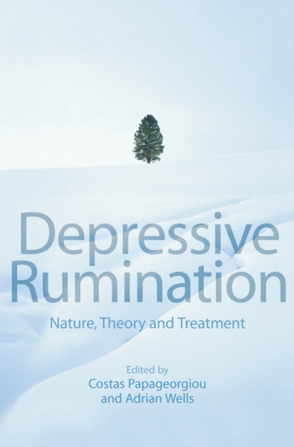Depressive Rumination : Nature, Theory and Treatment, Paperback / softback Book