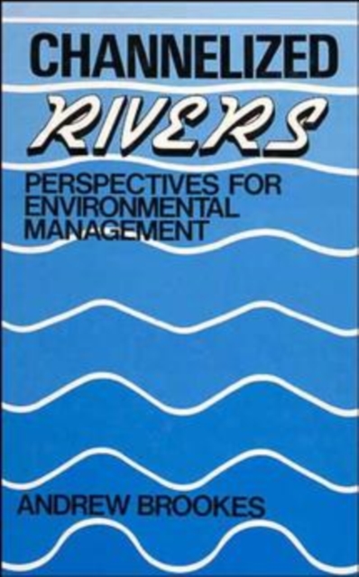 Channelized Rivers : Perspectives for Environmental Management, Hardback Book