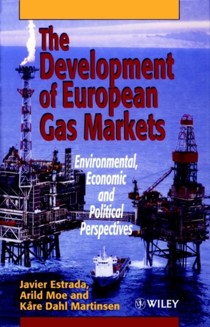 The Development of European Gas Markets : Environmental, Economic and Political Perspectives, Hardback Book