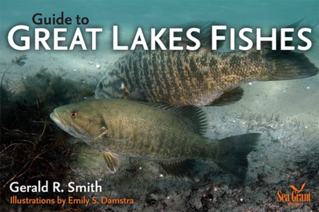 Guide to Great Lakes Fishes, Paperback / softback Book
