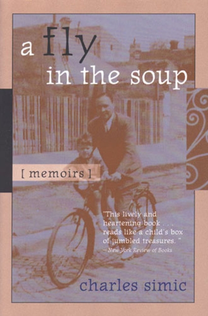 A Fly in the Soup : Memoirs, Paperback / softback Book