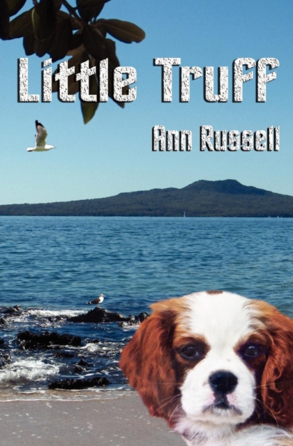 Little Truff, Paperback / softback Book