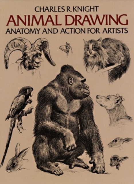 Animal Drawing, Paperback / softback Book