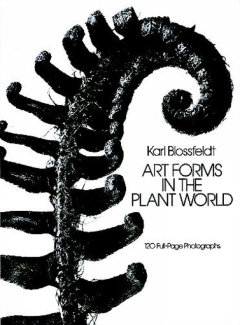 Art Forms in the Plant World, Paperback / softback Book