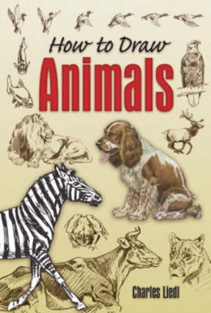 How to Draw Animals, Paperback / softback Book