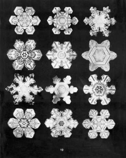 Bentley's Snowflakes, Mixed media product Book