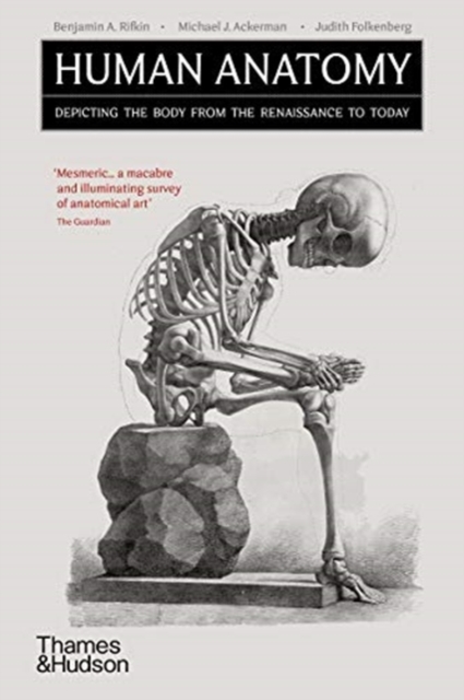 Human Anatomy : Depicting the Body from the Renaissance to Today, Paperback / softback Book