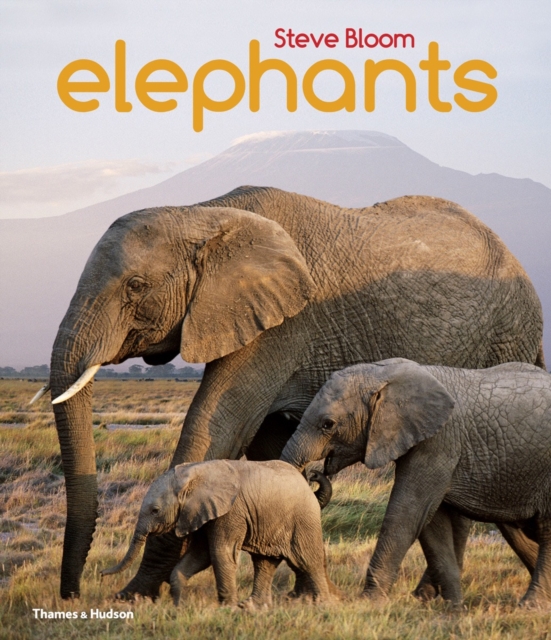 Elephants, Paperback / softback Book