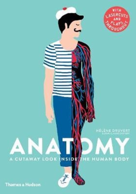 Anatomy : A Cutaway Look Inside the Human Body, Hardback Book