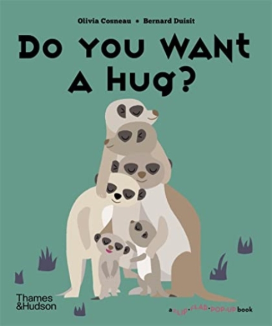 Do You Want a Hug?, Hardback Book