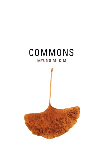 Commons, Paperback / softback Book