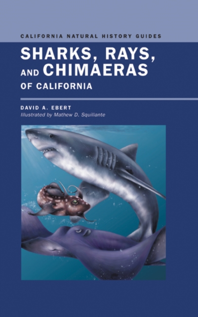 Sharks, Rays, and Chimaeras of California, Paperback / softback Book