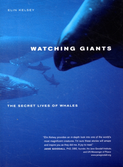 Watching Giants : The Secret Lives of Whales, Hardback Book